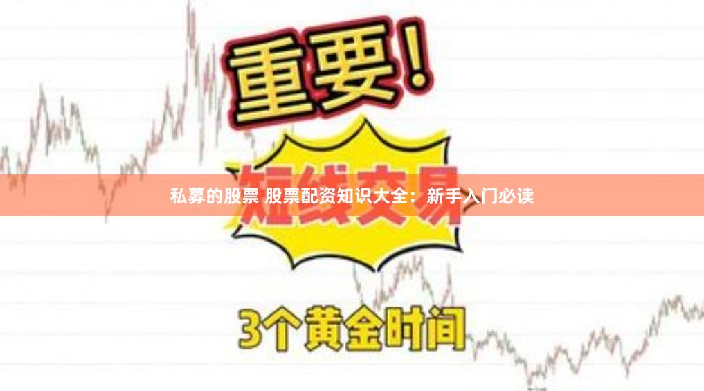 私募的股票 股票配资知识大全：新手入门必读