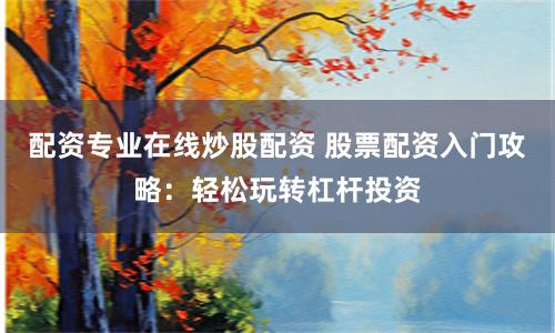 配资专业在线炒股配资 股票配资入门攻略：轻松玩转杠杆投资