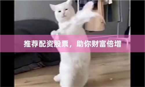 推荐配资股票，助你财富倍增