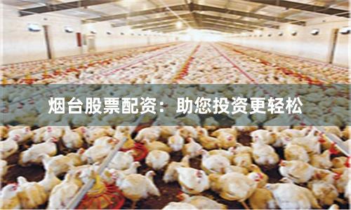 烟台股票配资：助您投资更轻松