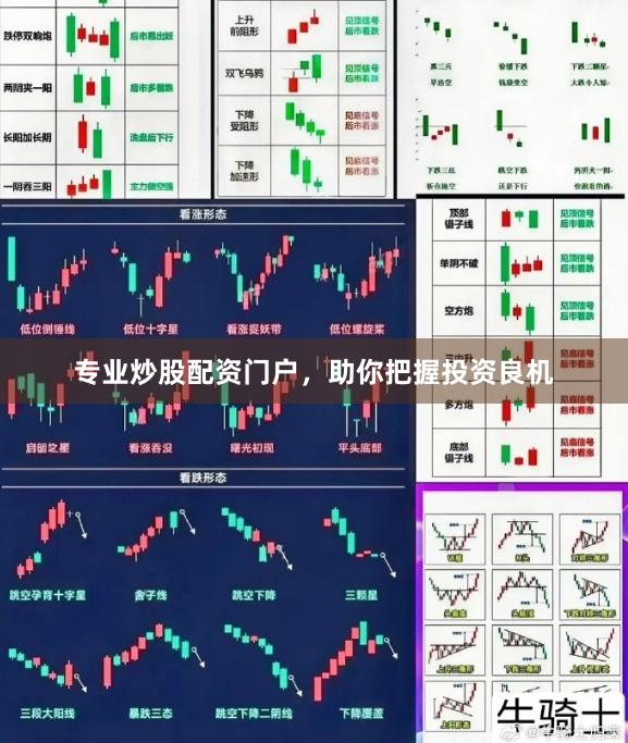 专业炒股配资门户，助你把握投资良机