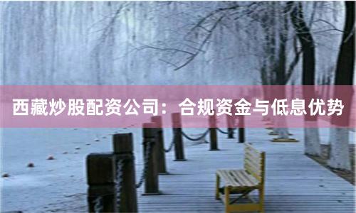 西藏炒股配资公司:合规资金与低息优势